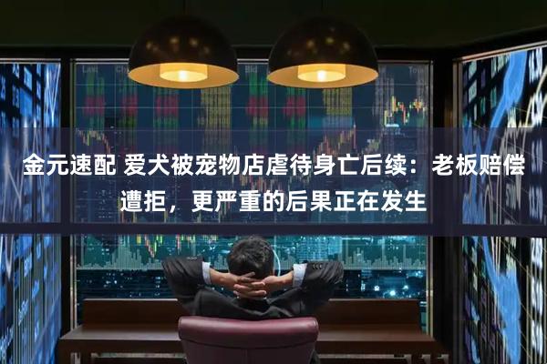 金元速配 爱犬被宠物店虐待身亡后续：老板赔偿遭拒，更严重的后果正在发生